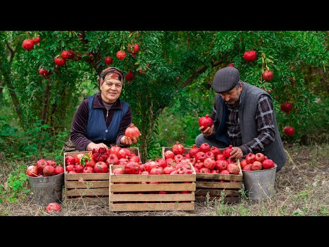 NARSHARAB - UNIQUE SAUCE, INVENTED AND WIDELY USED IN THE EXPANSES OF SUNNY AZERBAIJAN!