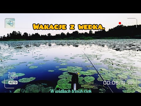 Wakacje z wędką na Mazurach!!! Spinnig/Grunt/Spławik! 2023!!!