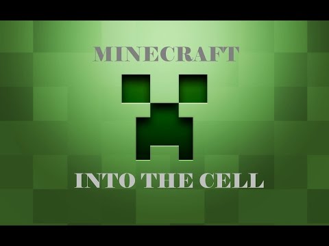 Minecraft: Into the Cell