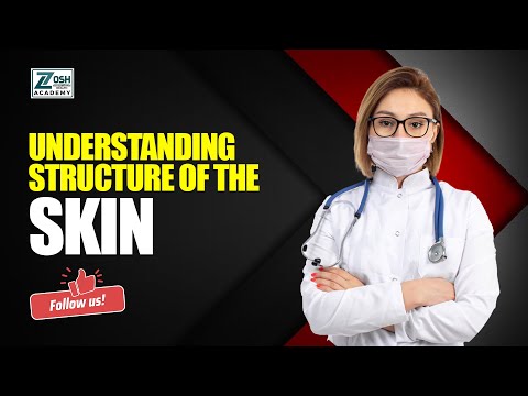 Understanding the structure of the skin l Skin Surveillance l Zosh Occupational Health Academy