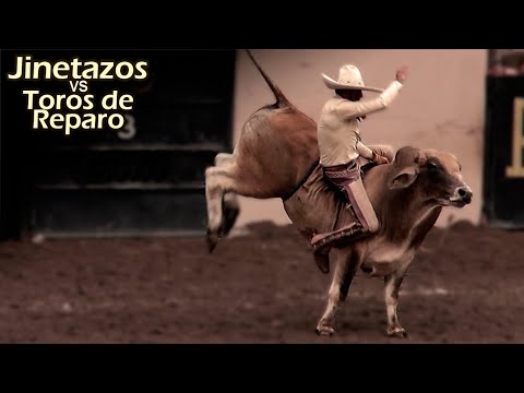 Compilatorio Jineteo de Toro 04 - Adictos al Peligro - Las mejores Jinetes y los mejores Toros