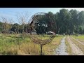 Ondernemer van Terra Wolde in Horsterwold na één jaar draaien: "Ik ben zo moe!"