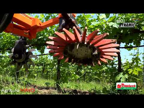 BIO DYNAMIC  RINIERI