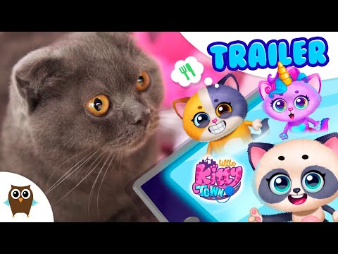 Little Kitty Town - Cat World Video