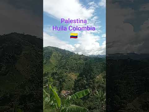 palestina Huila Colombia 🇨🇴