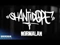 Shanti Dope - Normalan (Official Lyric Video)