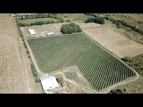Smart Harvester demo