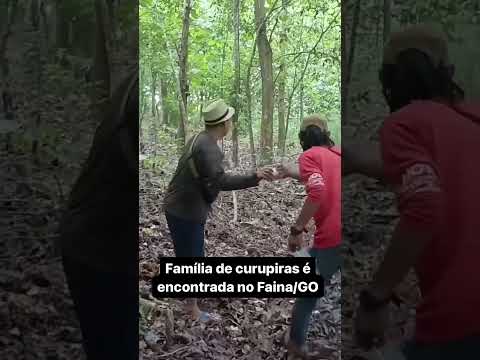 Curupiras são encontrados em Faina no interior de Goiás
