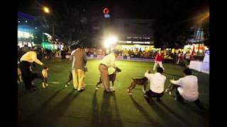 preview picture of video '2009 Boxer Club of the Philippines National Championship Dog Show'