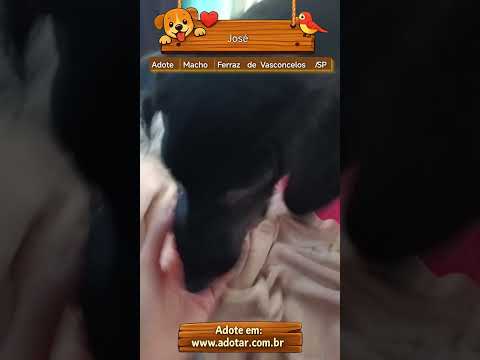 Vídeo de José 