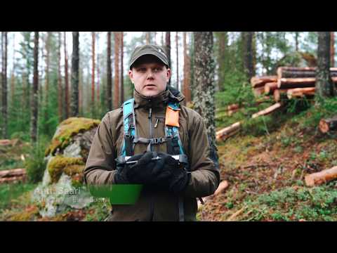 Metsäsuunnittelijan työ Metsähallituksessa