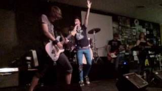 Social Butterfly Collection By The Last Six Pages