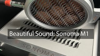 Warwick Sonoma M1 first impression: Beautiful Sound