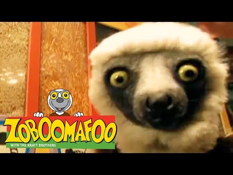 🐒 Zoboomafoo 🐒 130 | Jumpers - Full Episode | Kids TV Shows