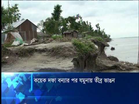 কয়েক দফা বন্যার পর যমুনায় তীব্র ভাঙন