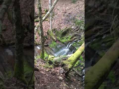 Creekside camping and small waterfall 2