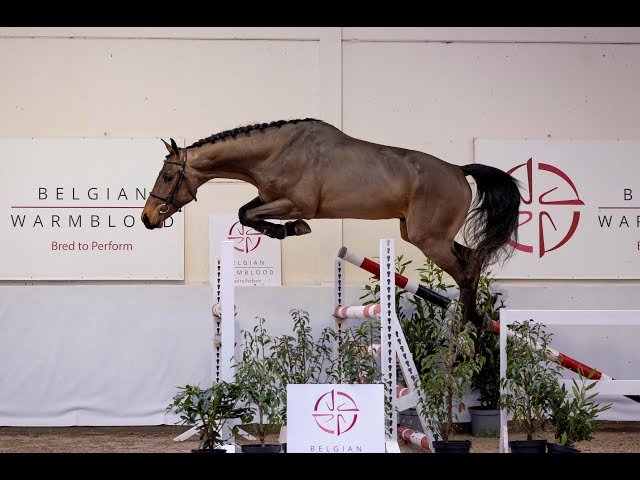 VANCOUVER V/'T DAUWHOF