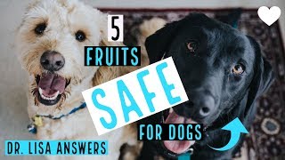 5 fruits SAFE for dogs | Veterinarian Dr. Lisa answers (2018)