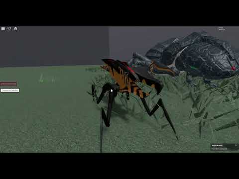 Arachnid and Tanker Bug Comparison