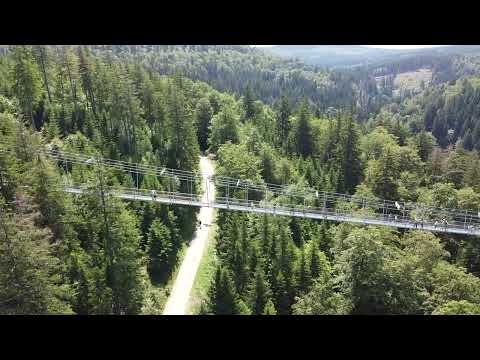 Skywalk Willingen Flyby