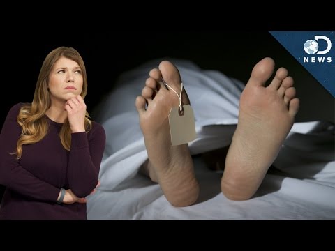 Was passiert bei einer Autopsie?