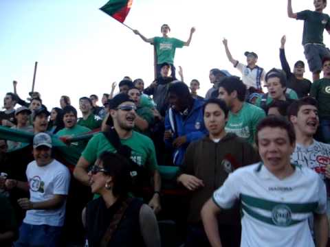 Ferroviários 78 - Pingos de Amor