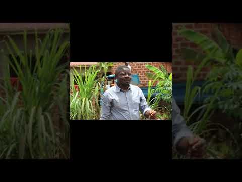 OKULIMA EBIJJA NSAGGU