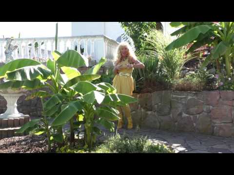 Verliebt in Bossa Nova - Lilo Siegel