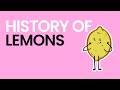 History of Lemons - What Am I Even Eating?!