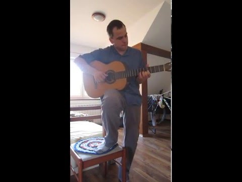 quick guitar cover - Wabi Danek, Pisen co me ucil listopad