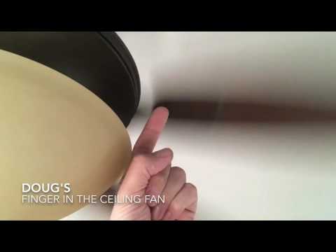 Finger in the ceiling fan
