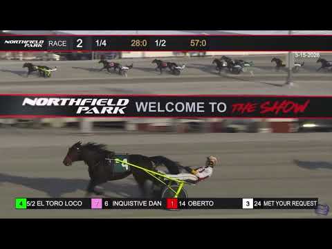 Northfield Park Replays