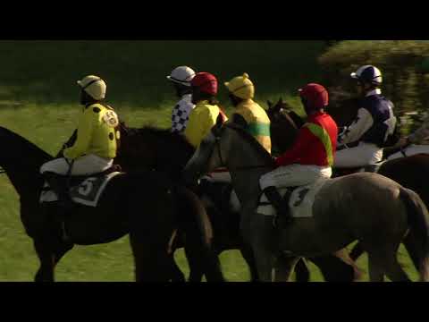 8. dostih - Steeplechase BPA Sport Marketing a.s. - dostihy Netolice 16. 8. 2020