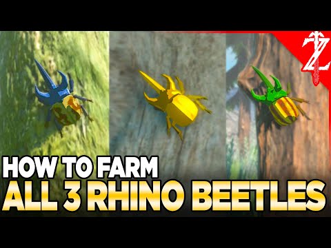 How to Farm Bladed, Rugged, & Energetic Rhino Beatles in Tears of the Kingdom