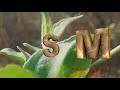Humko Hami Se Chura Lo Hindi Romantic Whatsapp Status Video