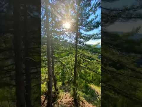 Cengiz Kurtoğlu / Saklı düşler