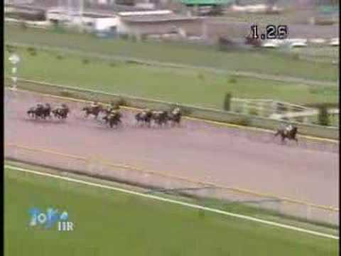 2008 ユニコーンステークス UNICORN STAKES
