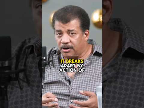 Cremation 🔥 vs Burial ⚰️ w/Neil deGrasse Tyson #science