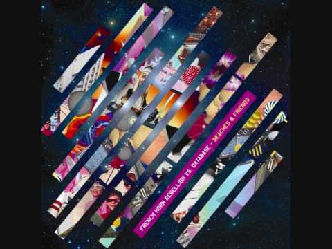 French Horn Rebellion vs Database - Beaches and Friends (The Twelves radio edit)
