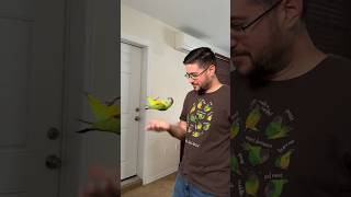 Ultimate Trust from a Parrot #amazing