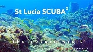 preview picture of video 'St Lucia SCUBA - Seahorse - The Return Visit'
