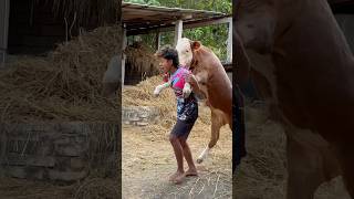 Download lagu Terlalu manja kalau ini 🤣🤣🤣 mp3