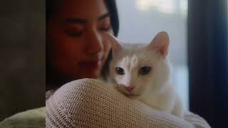 Tofu Cat Litter Australia is made...