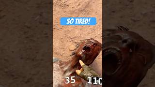 Goodnight - Arizona Sunshine #arizonasunshineremake #vr  #smeadgaming #funnygaming