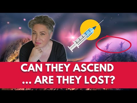 Timeline split - deep dive Q&A