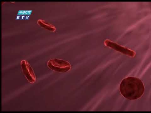 কোভিড নাইনটিন থেকে সুস্থ হওয়া  মানুষের রক্তের তরল অংশে জৈবিকভাবেই প্রতিষেধক তৈরি হয়