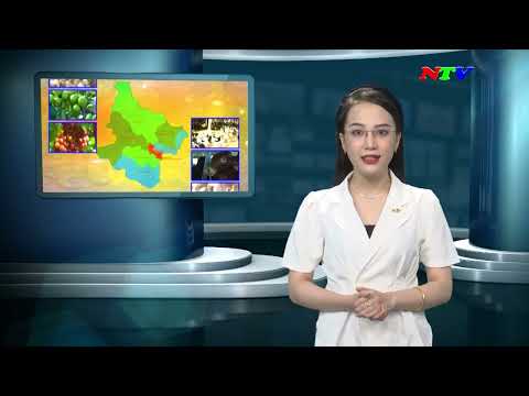 NTV – dia 19/11/2023 | NTV