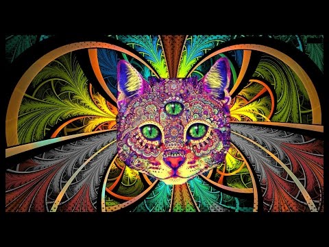 Best Rave/Party Songs Mix #2: PSY TRANCE, MINIMAL & HEAVY BASS (songs in description)