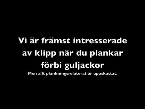 Hjälp Planka.nu med nästa plankningsfilm!
