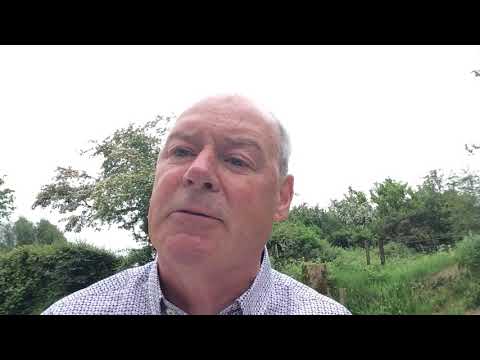 Dame Celia Johnson’s ‘The Cow who jumped over the moon’